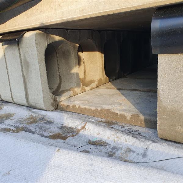 Klimaatbestendige entree Diergaarde Blijdorp | Noppert Beton