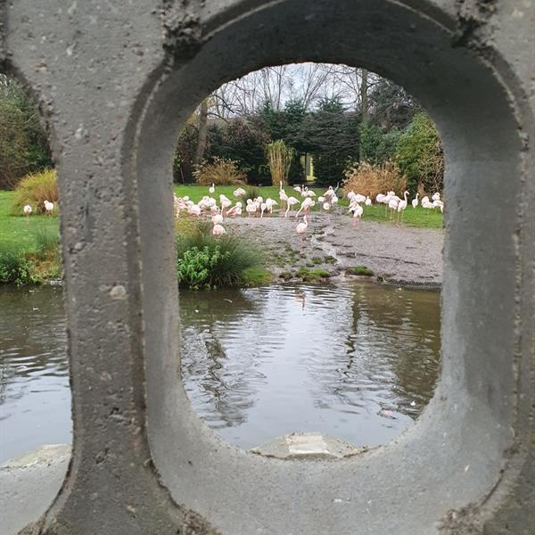 Klimaatbestendige entree Diergaarde Blijdorp | Noppert Beton