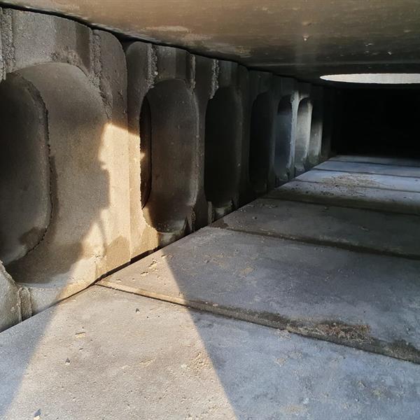 Klimaatbestendige entree Diergaarde Blijdorp | Noppert Beton