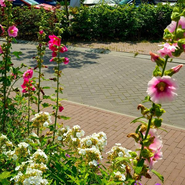 Woonrijp maken Wiarda Leeuwarden | Noppert Beton