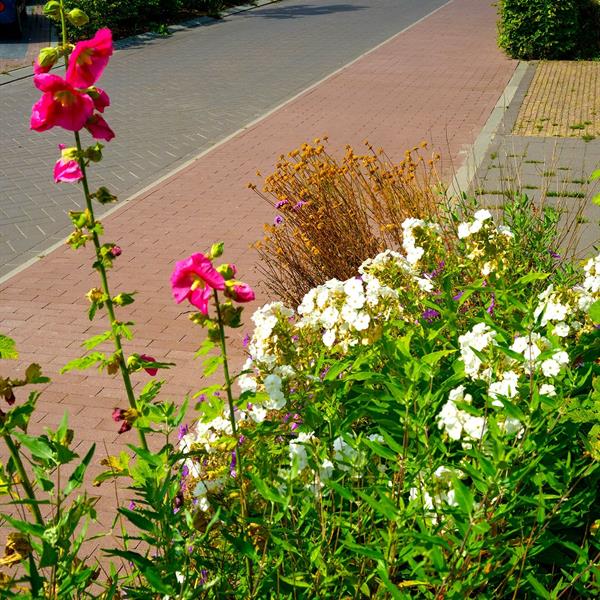 Woonrijp maken Wiarda Leeuwarden | Noppert Beton