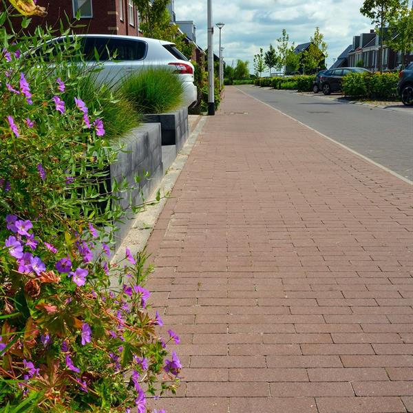 Woonrijp maken Wiarda Leeuwarden | Noppert Beton