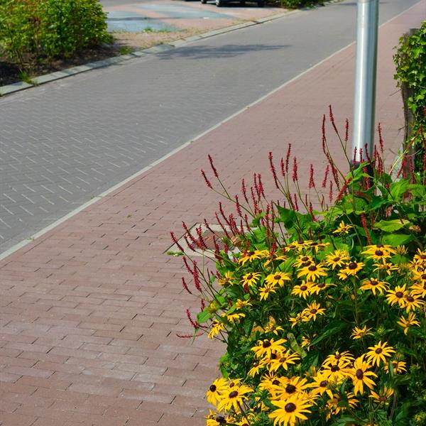 Woonrijp maken Wiarda Leeuwarden | Noppert Beton