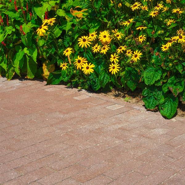 Woonrijp maken Wiarda Leeuwarden | Noppert Beton