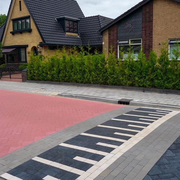 Tsjerkestrjitte De Westereen | Noppert Beton