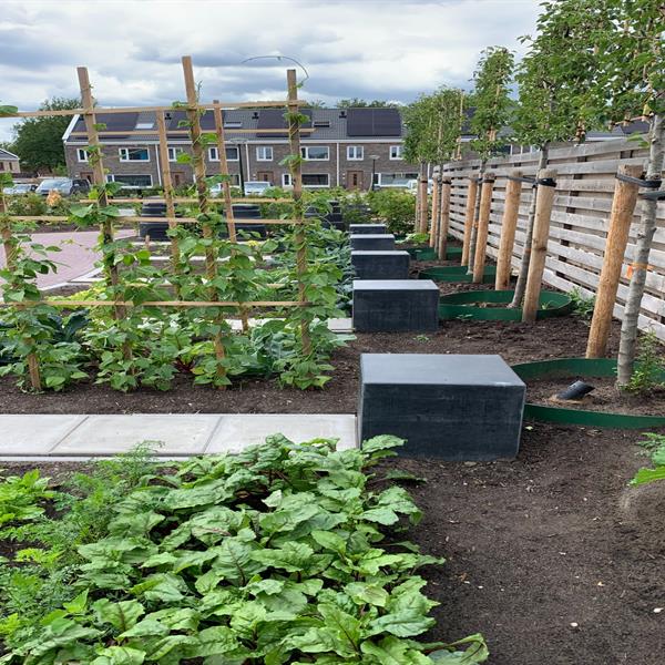 Haerenkwartier Oosterwolde | Noppert Beton