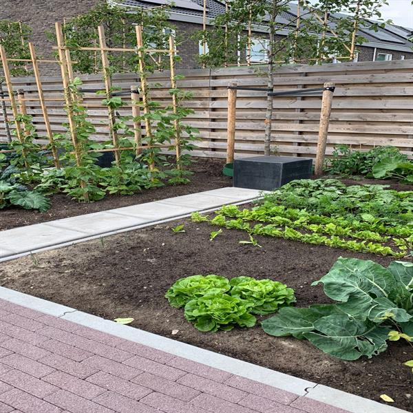 Haerenkwartier Oosterwolde | Noppert Beton