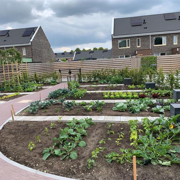 Haerenkwartier Oosterwolde | Noppert Beton