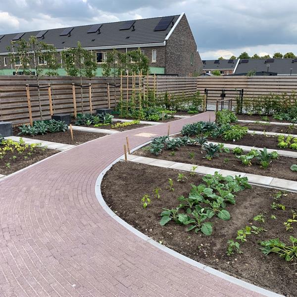 Haerenkwartier Oosterwolde | Noppert Beton