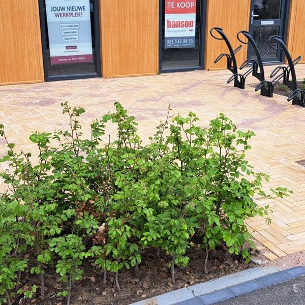 Praktijkruimtes de Waerderkring Heerhugowaard | Noppert Beton