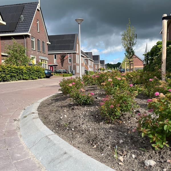 Woonrijp maken de Klamp Leeuwarden | Noppert Beton