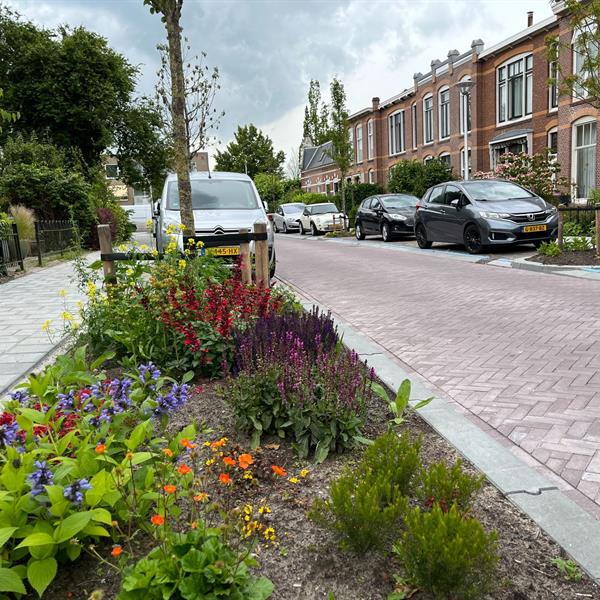 Claes Bockes Balckstraat Leeuwarden | Noppert Beton