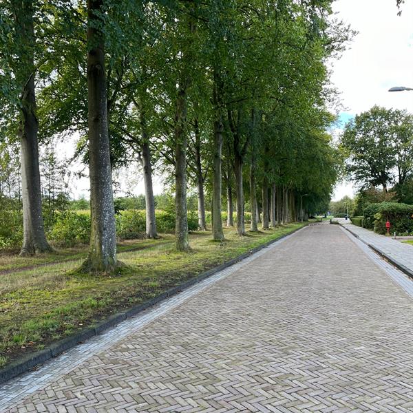 De Wissel Beetsterzwaag | Noppert Beton