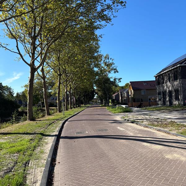 Herinrichting Burefen en De Warren Drachten | Noppert Beton