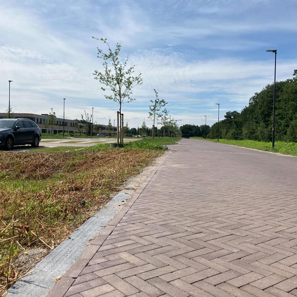 SBO Vrijburgh Drachten | Noppert Beton