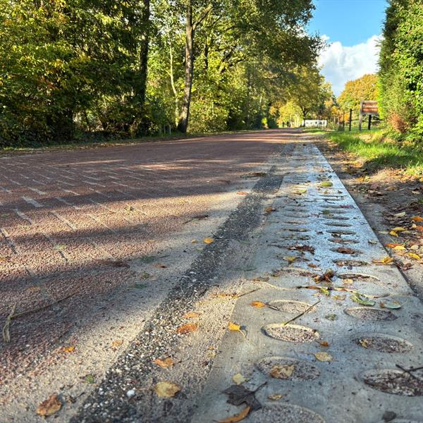 Gemeente Weststellingwerf kiest voor duurzame oplossing met de Greenstrook | Noppert Beton