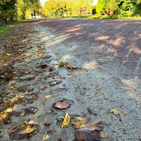 Gemeente Weststellingwerf kiest voor duurzame oplossing met de Greenstrook | Noppert Beton