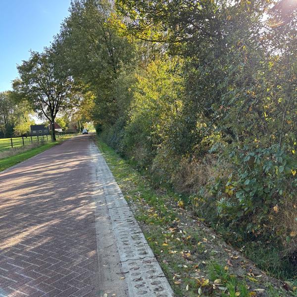 Gemeente Weststellingwerf kiest voor duurzame oplossing met de Greenstrook | Noppert Beton