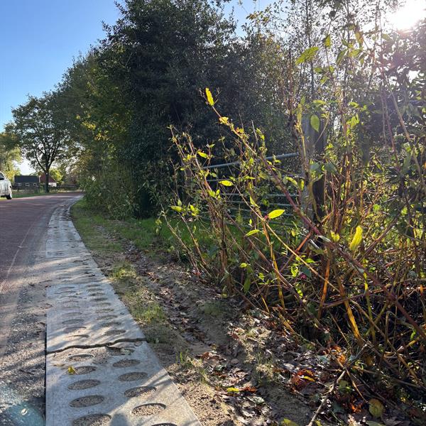 Gemeente Weststellingwerf kiest voor duurzame oplossing met de Greenstrook | Noppert Beton
