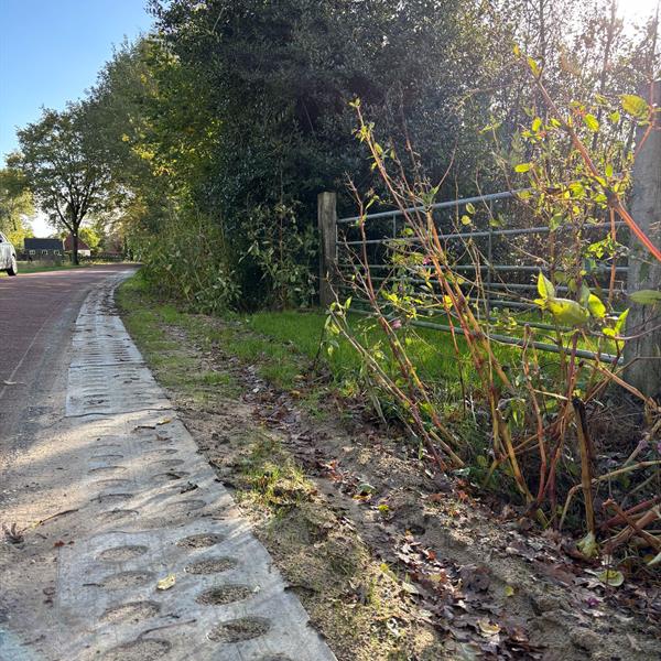 Gemeente Weststellingwerf kiest voor duurzame oplossing met de Greenstrook | Noppert Beton