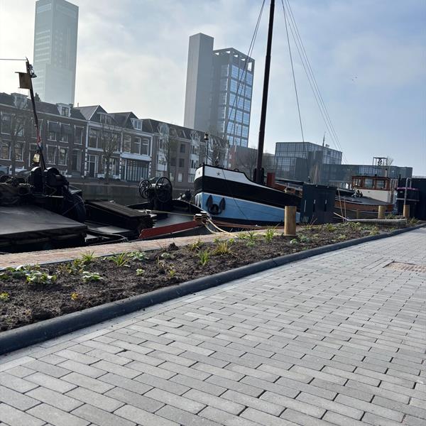 Herinrichting Westersingel Leeuwarden: van 50 km/u naar 30 km/u | Noppert Beton