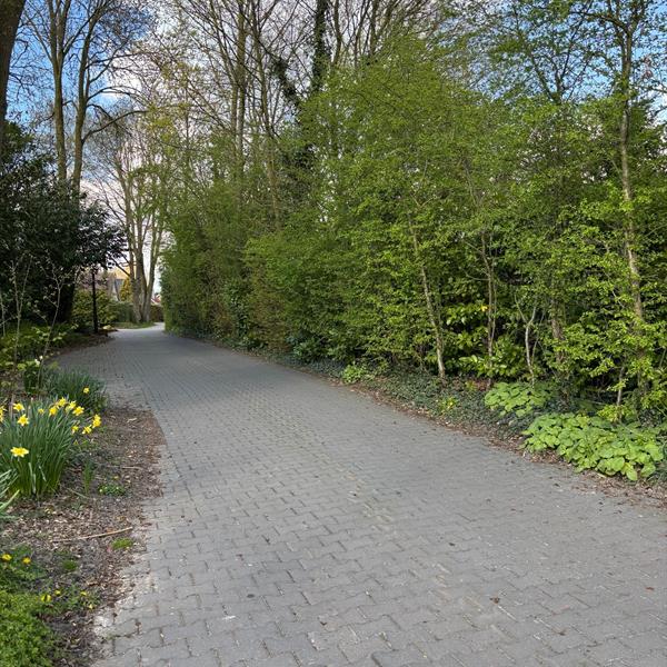 Duurzame en praktische bestrating in Goldenraand in Oldekerk | Noppert Beton