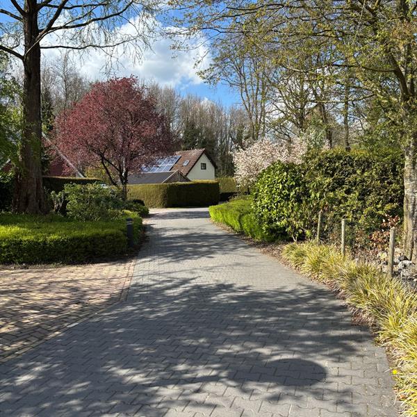 Duurzame en praktische bestrating in Goldenraand in Oldekerk | Noppert Beton