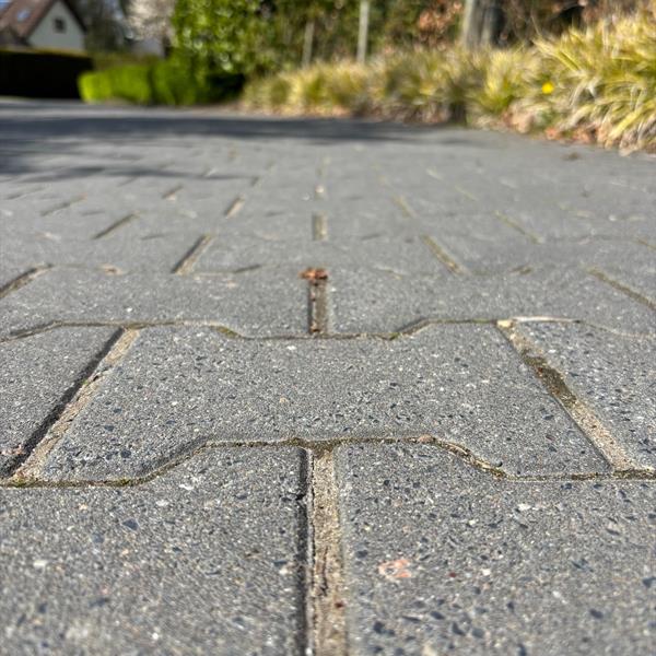 Duurzame en praktische bestrating in Goldenraand in Oldekerk | Noppert Beton