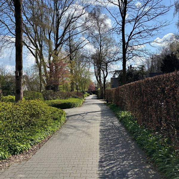 Duurzame en praktische bestrating in Goldenraand in Oldekerk | Noppert Beton