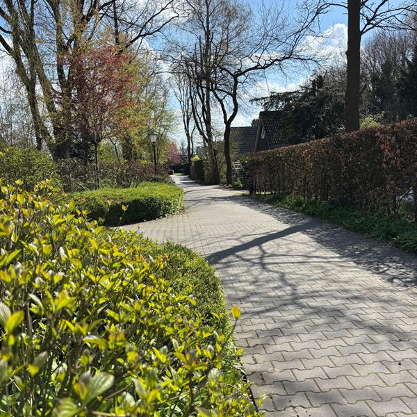 Duurzame en praktische bestrating in Goldenraand in Oldekerk | Noppert Beton