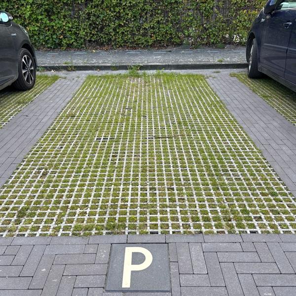 Duurzaam parkeren met Greenston graskamerstenen in woonwijk Hikkemieden | Noppert Beton