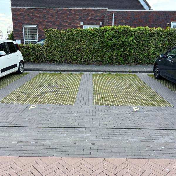 Duurzaam parkeren met Greenston graskamerstenen in woonwijk Hikkemieden | Noppert Beton