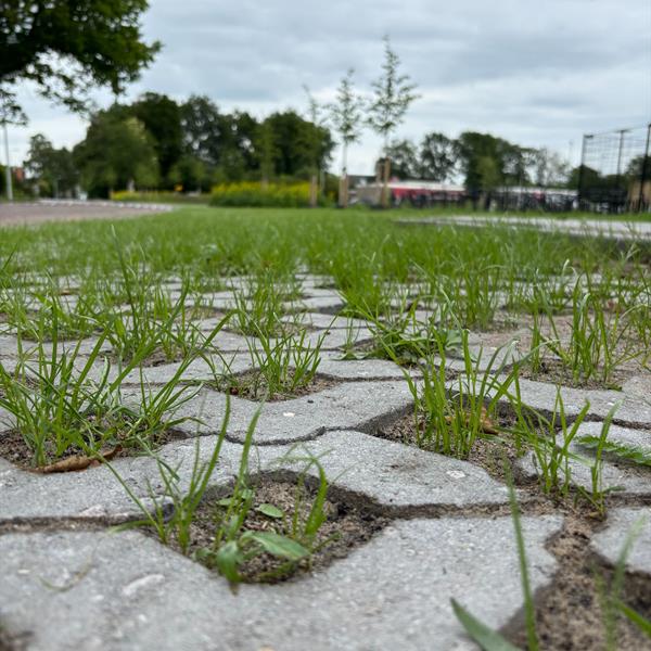 Samen bouwen aan de sportieve toekomst van Gorredijk | Noppert Beton