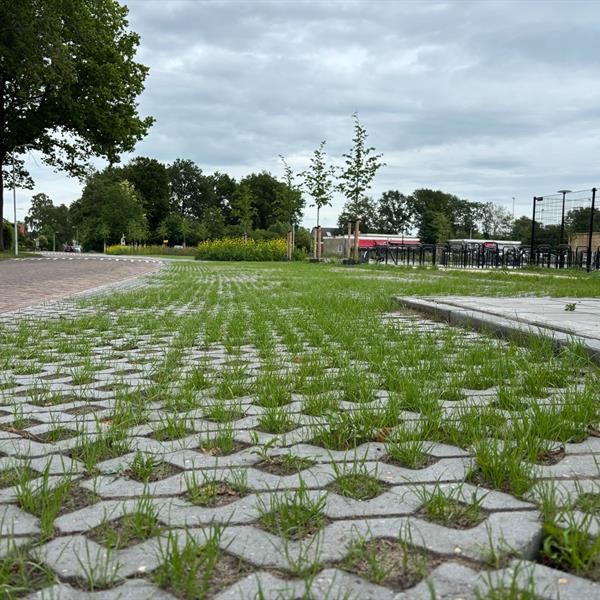 Samen bouwen aan de sportieve toekomst van Gorredijk | Noppert Beton