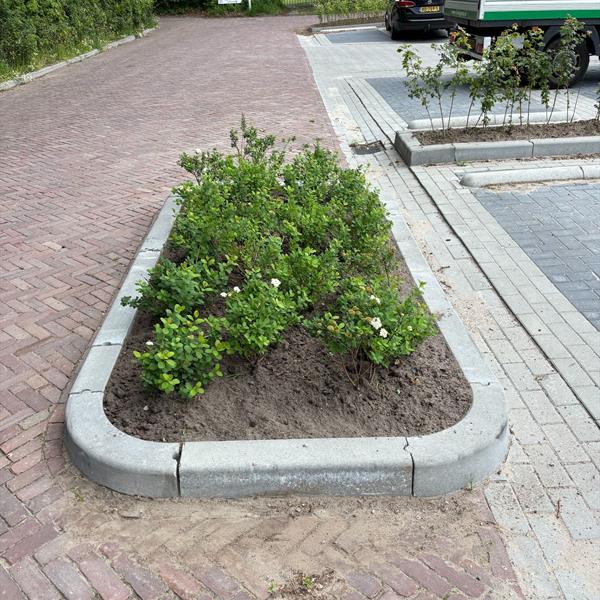 Samen bouwen aan de sportieve toekomst van Gorredijk | Noppert Beton