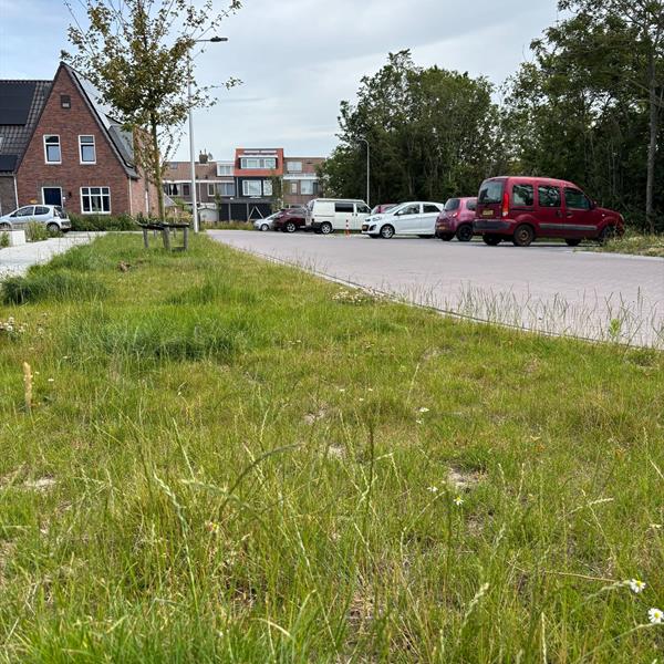 Woonrijp maken Skillerveld & Naalrand Oudeschild Texel | Noppert Beton