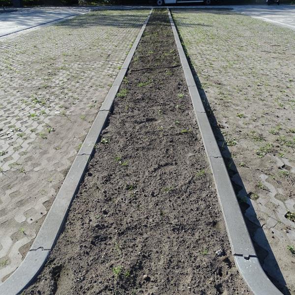 Meer parkeerruimte bij Albert Heijn in Paterswolde | Noppert Beton