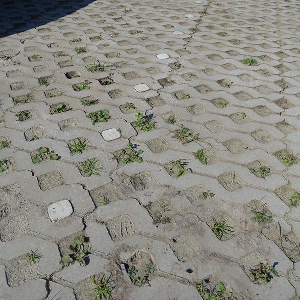 Meer parkeerruimte bij Albert Heijn in Paterswolde | Noppert Beton