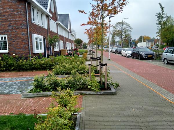 Sint Bonifatiuspark Leeuwarden | Noppert Beton